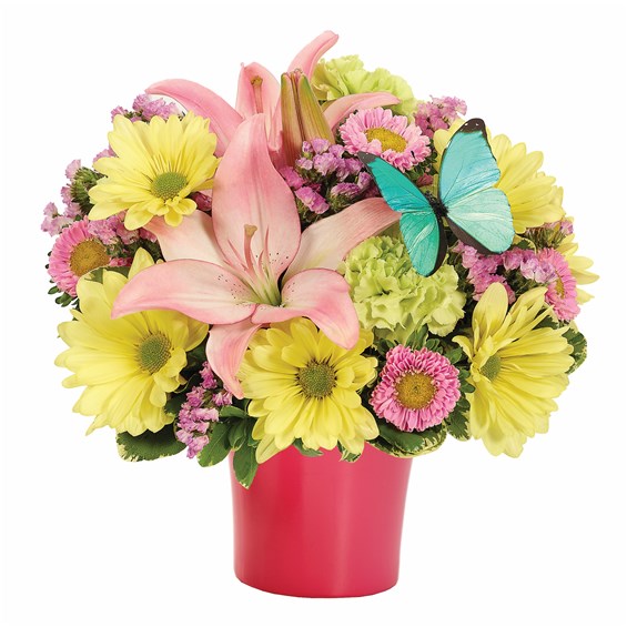 BF577-11KM_red_(002)